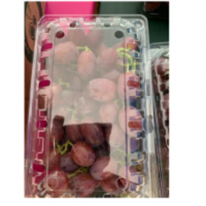 Table Grapes by  Generous Mountain Project 