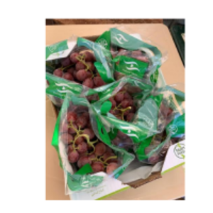 resources of Table Grapes exporters