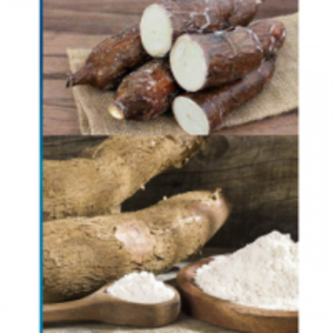 Tapioca Starch by  Erutan Exports 