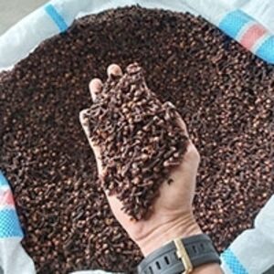 Cloves by  Cv Anugerah Jahe Nusantara 