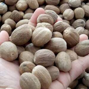 Nutmeg by  Cv Anugerah Jahe Nusantara 
