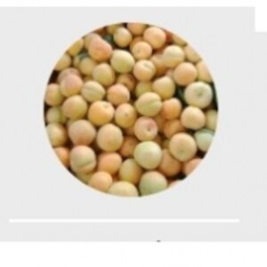 Apricot by  Excellence Global Trade 