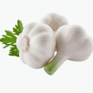  White Garlic  by  Excellence Global Trade 