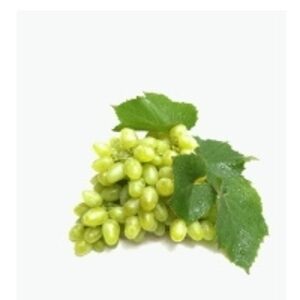 Grape by  Excellence Global Trade 
