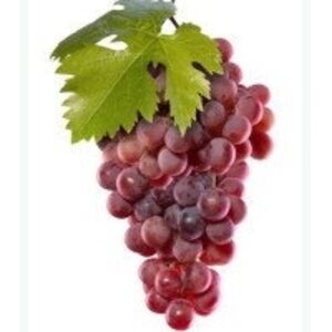 Grape by  Excellence Global Trade 