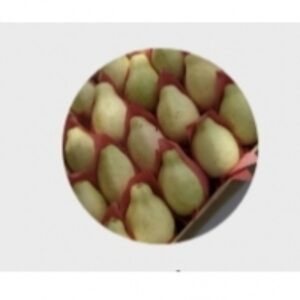 Guava by  Excellence Global Trade 