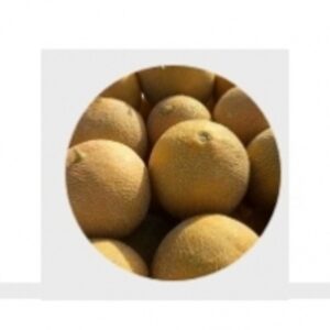 Fresh Melon by  Excellence Global Trade 