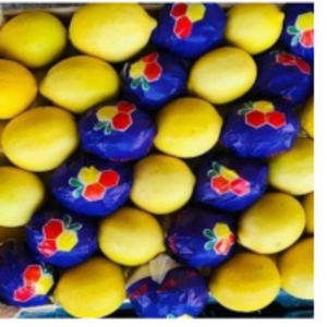 Lemon by  Me-jon Shpk 