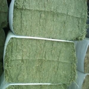 Alfalfa Hay Pellets by Med Corfu Houses Limited