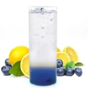 Blueberry Lemon Ade by  Gopizza 