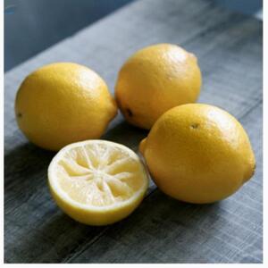 Lemons by  Aquila Overseas 