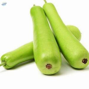 Bottle Gourd by  Aquila Overseas 