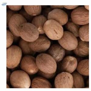 Nutmeg by  Aquila Overseas 