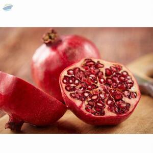 Pomegranate by  Aquila Overseas 