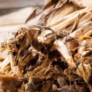 Dried Stock Fish by Flumxat Global B2b Trading Pty Ltd