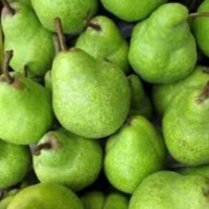 Fresh Pear by  Flumxat Global B2b Trading Pty Ltd 