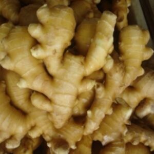 Fresh Ginger by  Flumxat Global B2b Trading Pty Ltd 