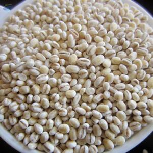 Pearl Barley by AMC Overseas