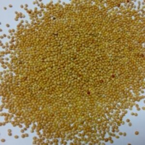 Millet by  AMC Overseas 