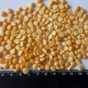 Yellow Split Peas by  AMC Overseas 