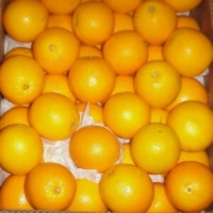 Navel Oranges by  Lotus Global 