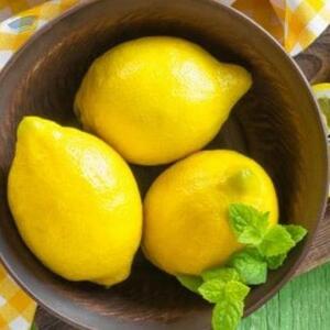 Lemon by  PMB Global Trade 