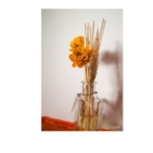 Aromatic Diffusers by Shreyas Exports