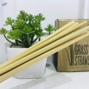 Grass Straw Eco Friendly Products by M.i.t Vietnam Company Limited