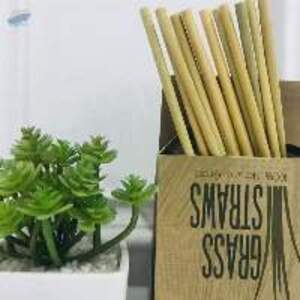 Grass Straw Eco Friendly Products - Image 3