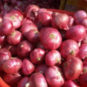 Big Red Onion by  Modi Exporters 