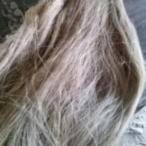 Scutched Flax Fiber by  Horizon For Import And Export 