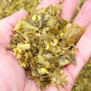 Corn Silage by  S-Core Global Co., Ltd. 