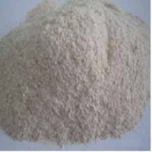 Tapioca Residuce Powder by  S-Core Global Co., Ltd. 