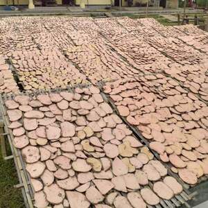  Konjac Chips/ Arako Chips 