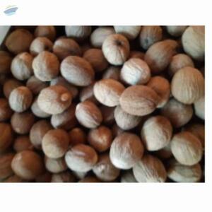 Nutmeg by  PT. Tridaya Adhitama 