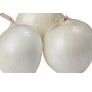 Bhima White Onion by T. K.koley Expo. In International.