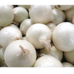 Pusa White Round Onion by  T. K.koley Expo. In International. 