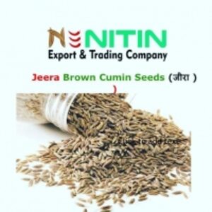 Cumin Seeds by  Nitin Export & Trading Company 
