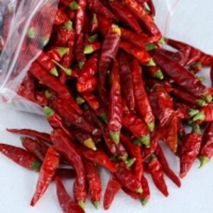 Chilli by  Palma Trading Ltd 