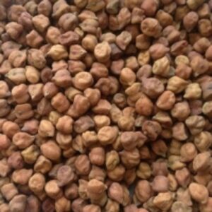 High Quality Desi Chickpeas by  Tysons Corner General Merchandise 