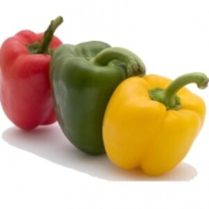  Fresh Capsicums/bell Pepper/green/red Bell Peppe 