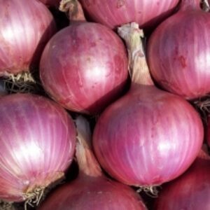 Fresh Onions by Tysons Corner General Merchandise