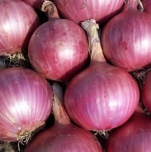  Fresh Red Onion 5 - 7 Cm 