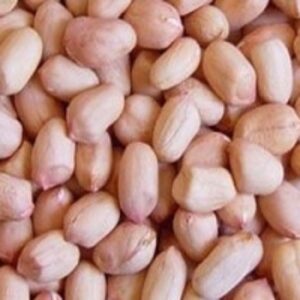 High Quality Peanuts by  Tysons Corner General Merchandise 