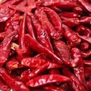  High Quality Hot Red Chilli Pepper Hybrid Seed 
