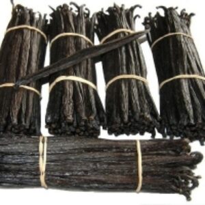  Vanilla Beans For Export  by  Tysons Corner General Merchandise 