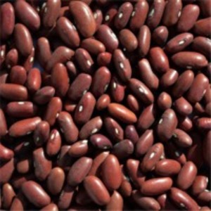 Dark Red Kidney Beans by Mdeca Group SRL