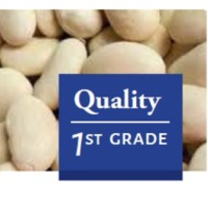 resources of Navy Beans exporters