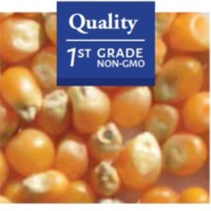 Mushroom Popcorn by  Mdeca Group SRL 