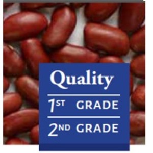resources of Dark Red Kidney Beans exporters